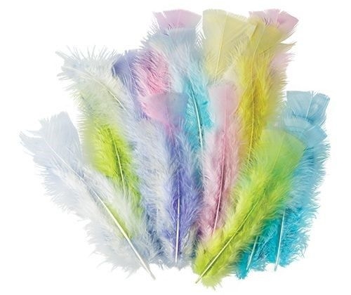 FEATHERS PASTEL ASSORTED 10gm