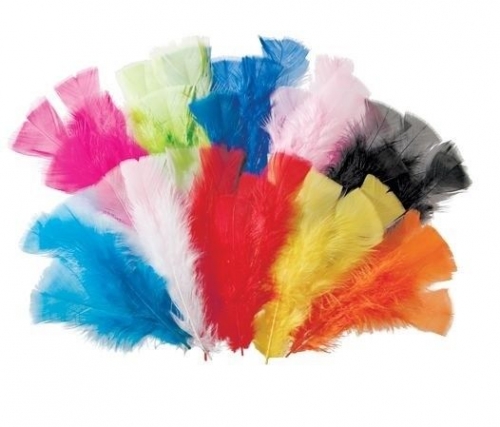 FEATHERS LARGE ASSORTED 60gm 240s